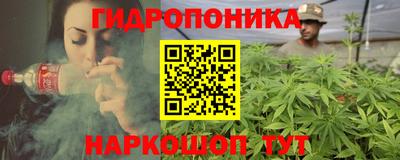 трава Камень-на-Оби